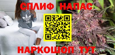 a pvp Заводоуковск