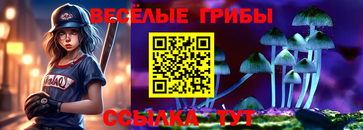 Воронеж  Псилоцибиновые грибы Psilocybine cubensis  Вход с VPN 